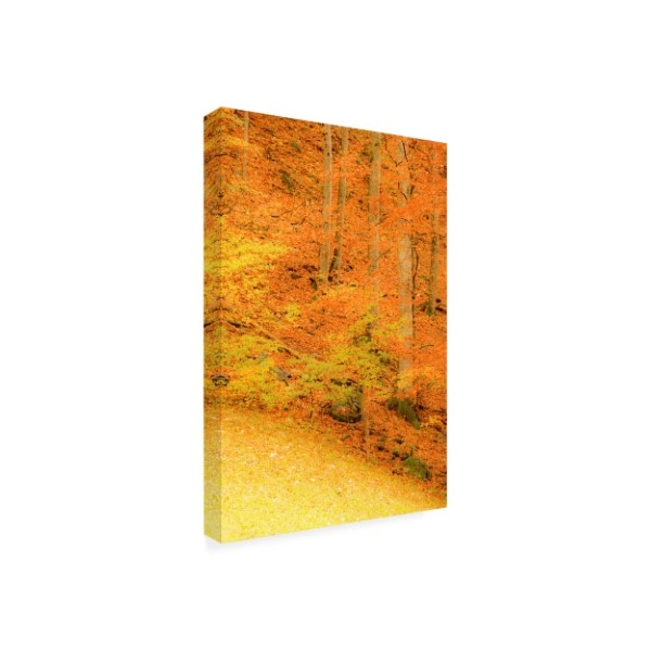 Dan Ballard 'Yellow Foliage Autumn' Canvas Art,22x32